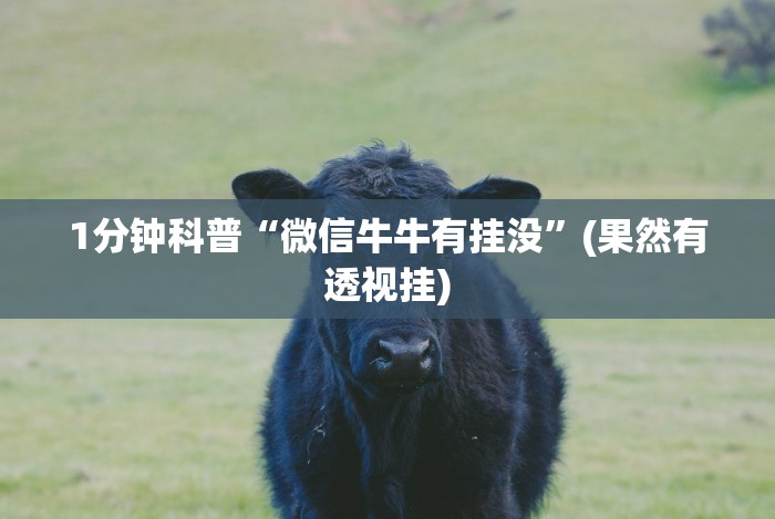 [分享]“丽水跑得快万能开挂神器!分享用挂教程