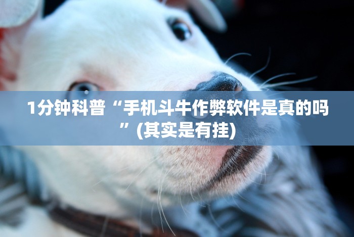 [8秒详论]“十三水加大小王技巧”详细分享装挂步骤