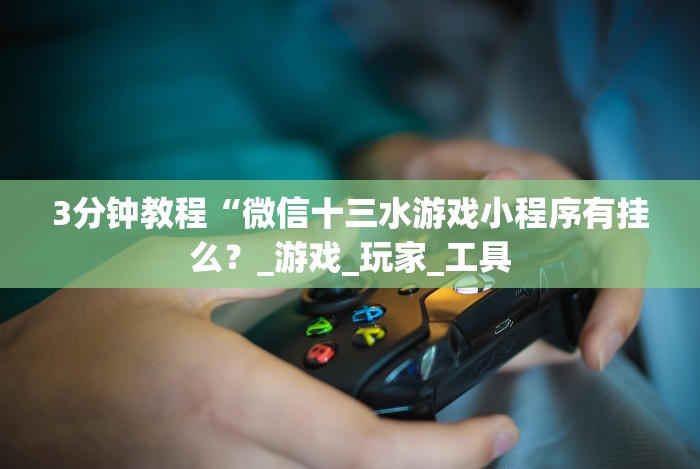 [分析]“皮皮跑胡子开挂神器!专业师傅带你一起了解(确实有挂)