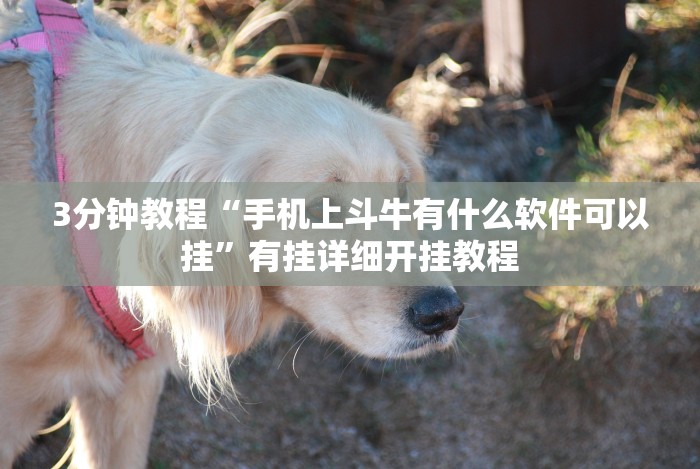 3分钟教程“南昌微乐麻将有挂吗”科技辅助神器手机版教程