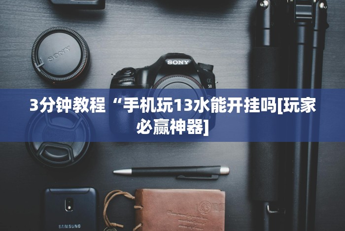 [分享]“玩填大坑怎么能胜利(辅助外挂+教程)