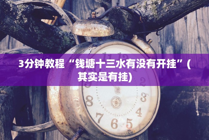[分享]“江南苑苑十三水开挂神器”事实上真的有挂