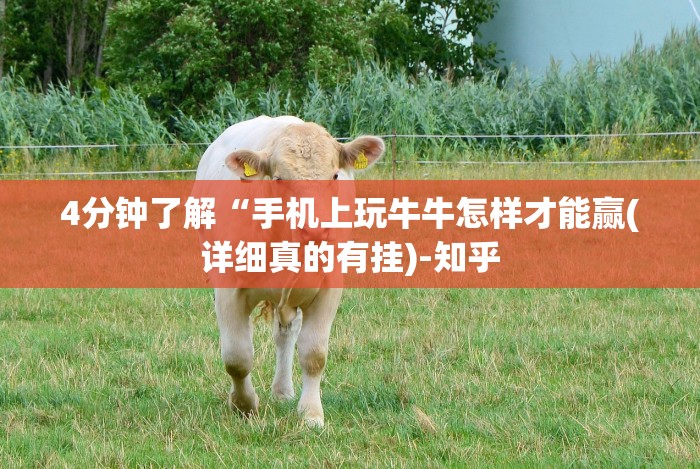 [分享]“炸金花外卦神器视频”详细分享装挂步骤