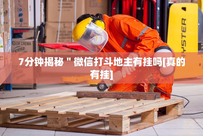 [分享]“熊猫跑得快透视app＂!专业师傅带你一起了解