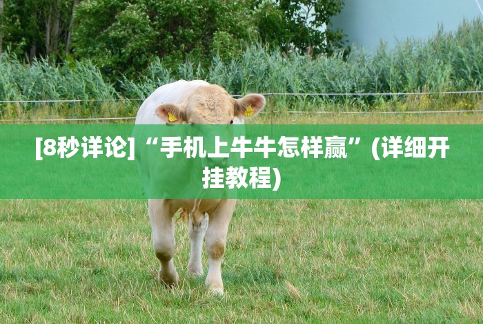 4分钟了解“填大坑软件挂”详细开挂玩法