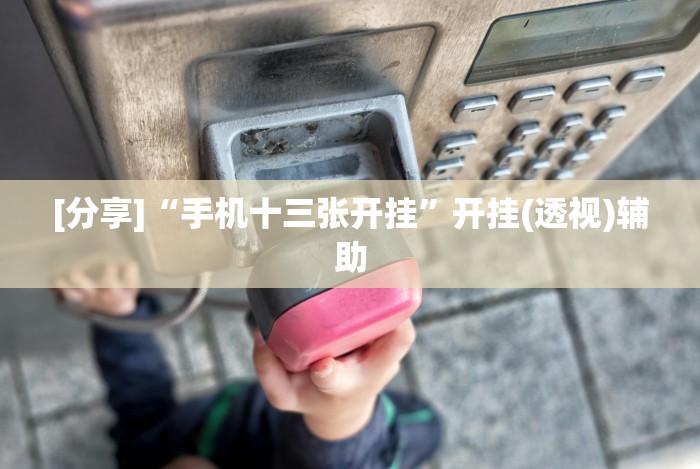 [分享]“手机十三张开挂”开挂(透视)辅助