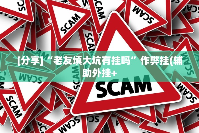 [分享]“老友填大坑有挂吗”作弊挂(辅助外挂+