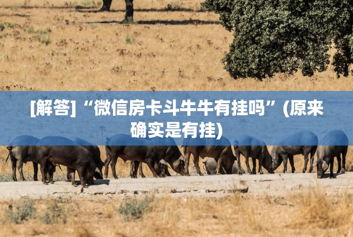 【今日头条】“推筒子技巧下载”(必胜开挂神器)