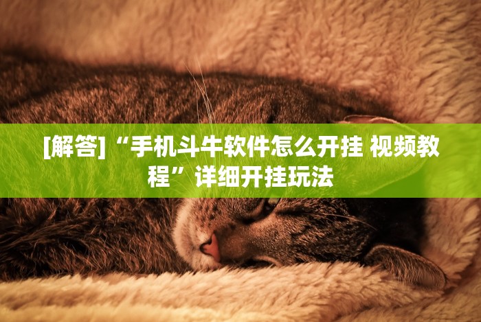 [解答]“手机斗牛软件怎么开挂 视频教程”详细开挂玩法