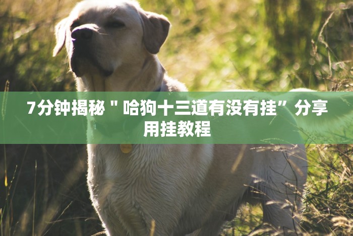 7分钟揭秘"哈狗十三道有没有挂”分享用挂教程 7分钟揭秘"哈狗十三道有没有挂”分享用挂教程