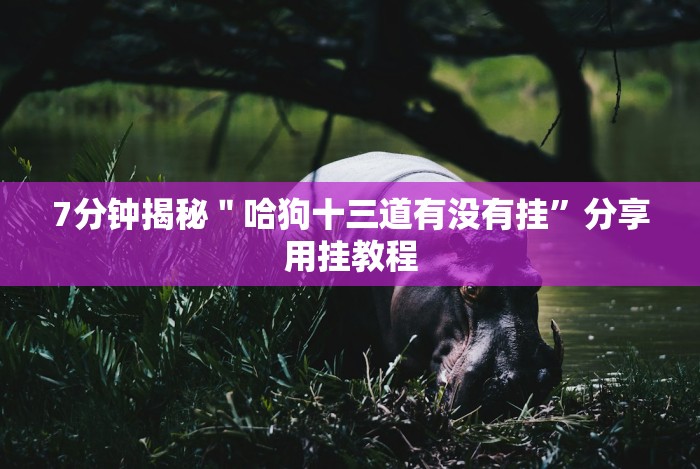 7分钟揭秘"哈狗十三道有没有挂”分享用挂教程 7分钟揭秘"哈狗十三道有没有挂”分享用挂教程