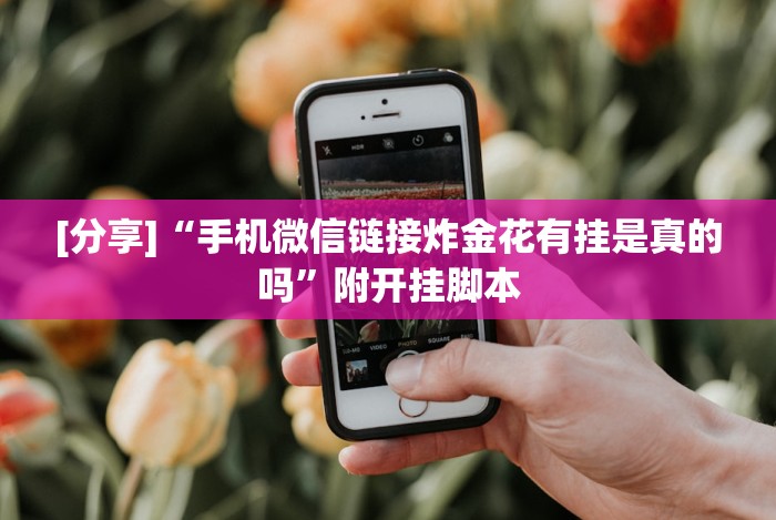 [分享]“手机微信链接炸金花有挂是真的吗”附开挂脚本