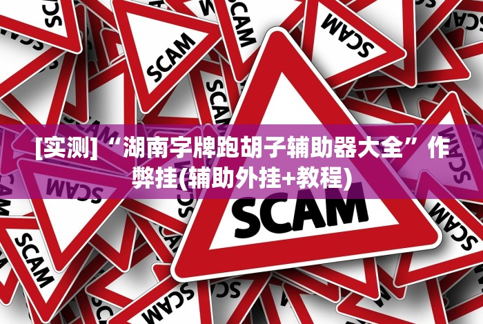 [实测]“湖南字牌跑胡子辅助器大全”作弊挂(辅助外挂+教程)