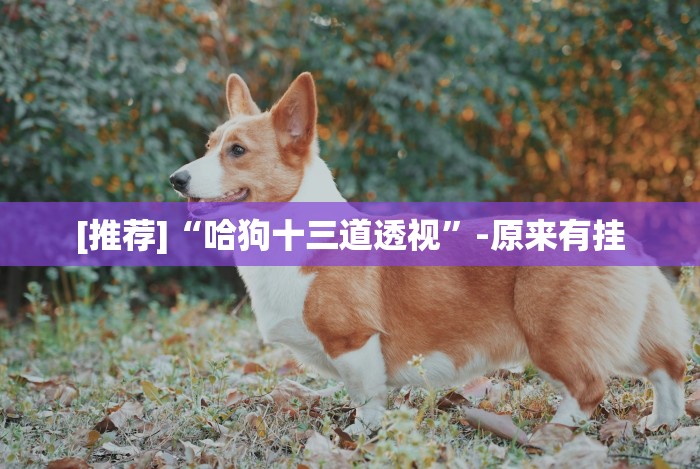 【一招分享】“十三开挂辅助”(原来确实是有插件) 【一招分享】“十三开挂辅助”(原来确实是有插件)