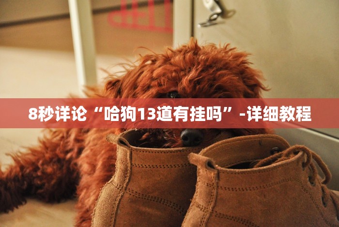 8秒详论“哈狗13道有挂吗”-详细教程 8秒详论“哈狗13道有挂吗”-详细教程