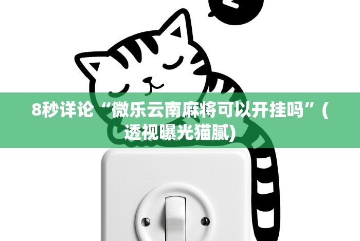 8秒详论“微乐云南麻将可以开挂吗”(透视曝光猫腻)