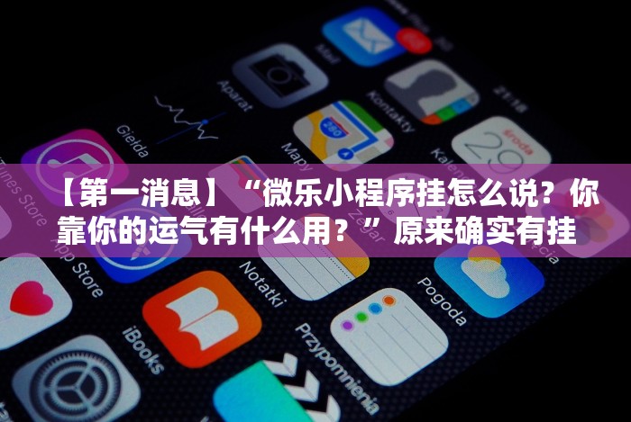 【第一消息】“微乐小程序挂怎么说？你靠你的运气有什么用？”原来确实有挂!