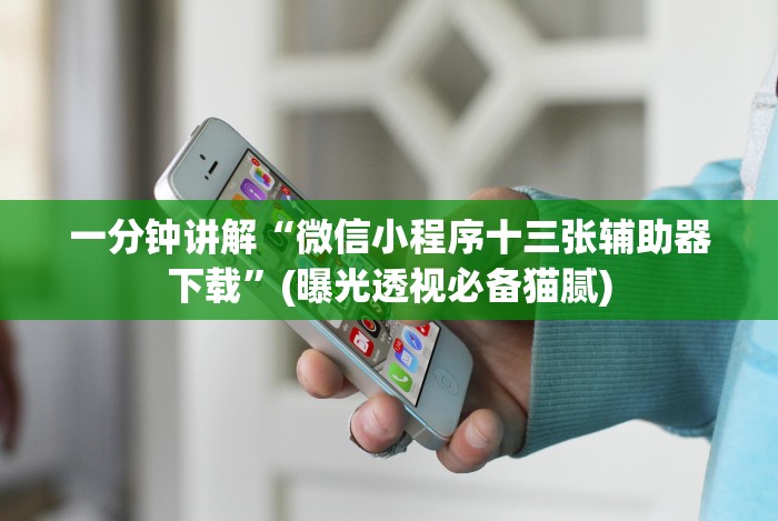 一分钟讲解“微信小程序十三张辅助器下载”(曝光透视必备猫腻)