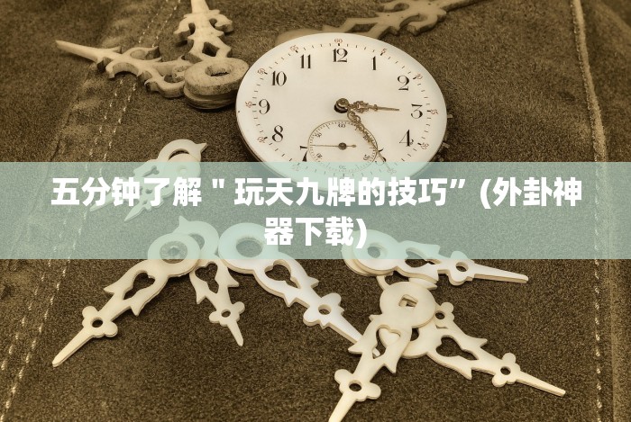 五分钟了解"玩天九牌的技巧”(外卦神器下载) 五分钟了解"玩天九牌的技巧”(外卦神器下载)