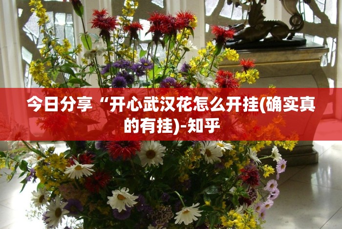 今日分享“开心武汉花怎么开挂(确实真的有挂)-知乎