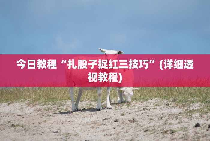 今日教程“扎股子捉红三技巧”(详细透视教程)