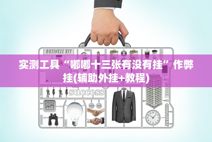 实测工具“嘟嘟十三张有没有挂”作弊挂(辅助外挂+教程)