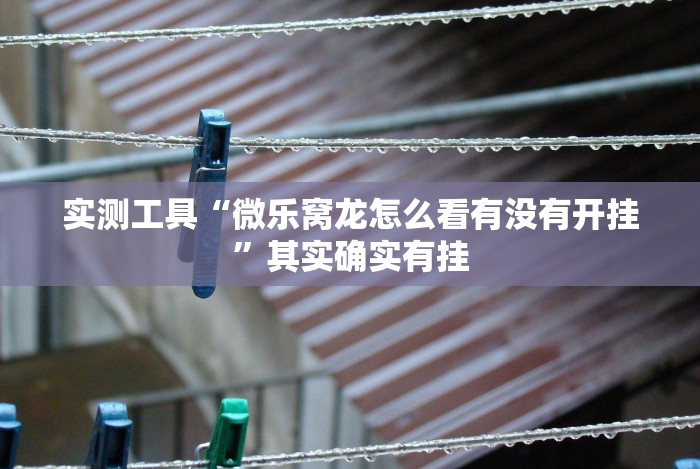 实测工具“微乐窝龙怎么看有没有开挂”其实确实有挂