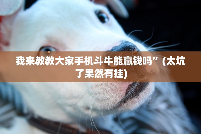 我来教教大家手机斗牛能赢钱吗”(太坑了果然有挂) 我来教教大家手机斗牛能赢钱吗”(太坑了果然有挂)