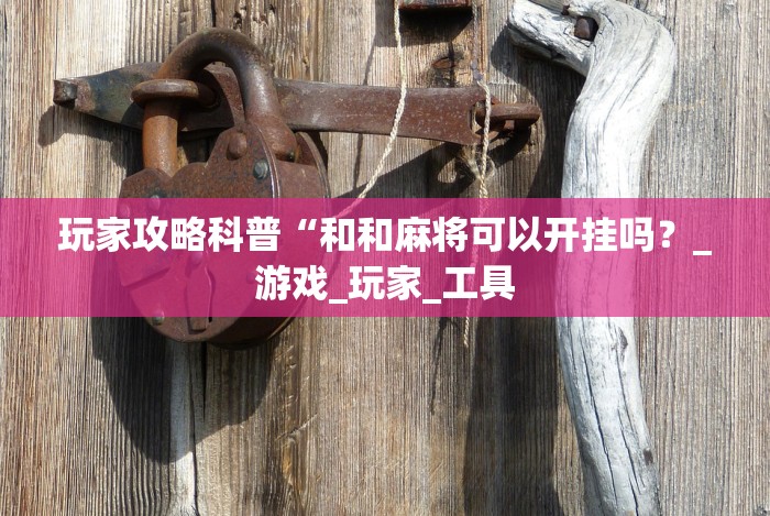 玩家攻略科普“和和麻将可以开挂吗？_游戏_玩家_工具
