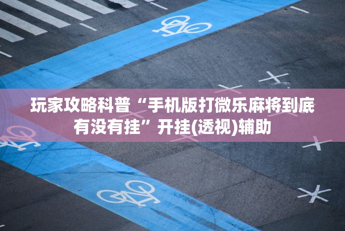辅助最新信息“微信哈哈跑得快怎么开挂”开挂(透视)辅助