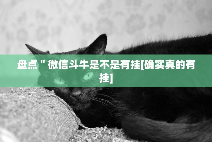 重磅来袭“2021手机作弊”详细外挂辅助详细教程