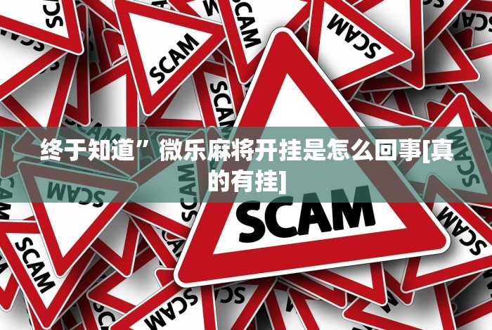 终于知道”微乐麻将开挂是怎么回事[真的有挂]