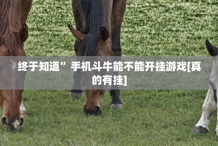 给大家讲解“微乐龙江麻将挂软件”分享用挂教程