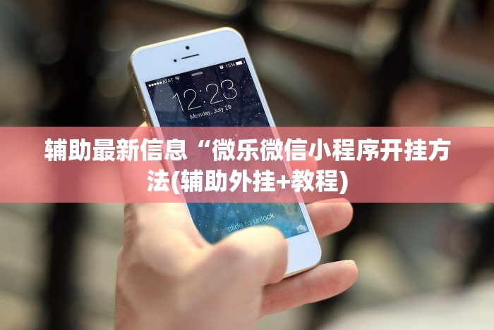 辅助最新信息“微乐微信小程序开挂方法(辅助外挂+教程)