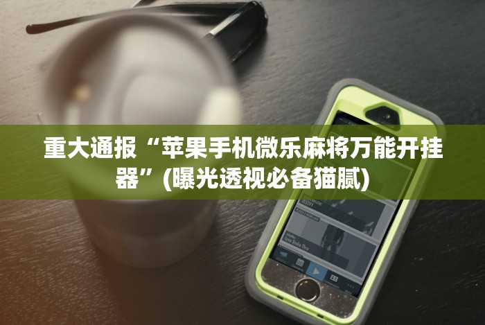 实测脚本“牵手跑胡子免费开挂”开挂(透视)辅助