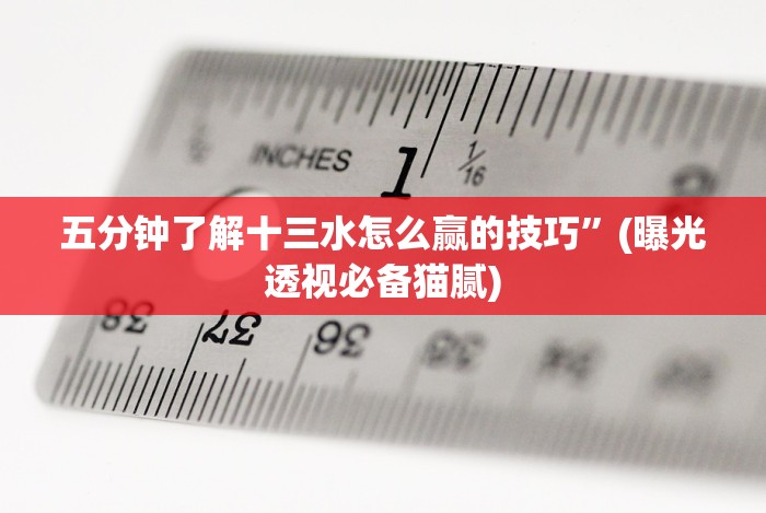 五分钟了解十三水怎么赢的技巧”(曝光透视必备猫腻)