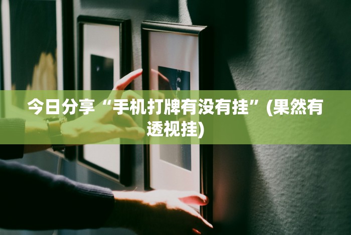 今日分享“手机打牌有没有挂”(果然有透视挂)
