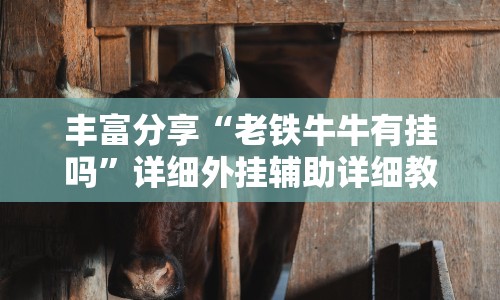 丰富分享“老铁牛牛有挂吗”详细外挂辅助详细教程