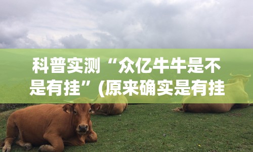 科普实测“众亿牛牛是不是有挂”(原来确实是有挂) 
