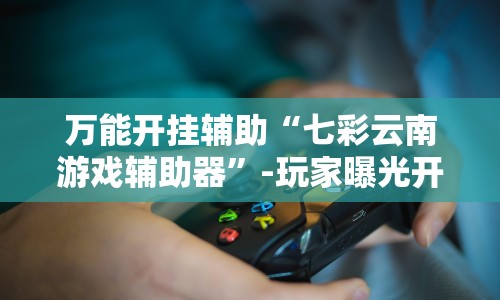 万能开挂辅助“七彩云南游戏辅助器”-玩家曝光开挂流程