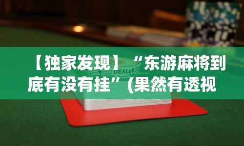 【独家发现】“东游麻将到底有没有挂”(果然有透视挂) 