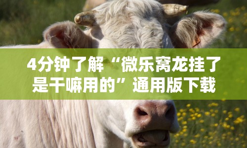 4分钟了解“微乐窝龙挂了是干嘛用的”通用版下载教程！