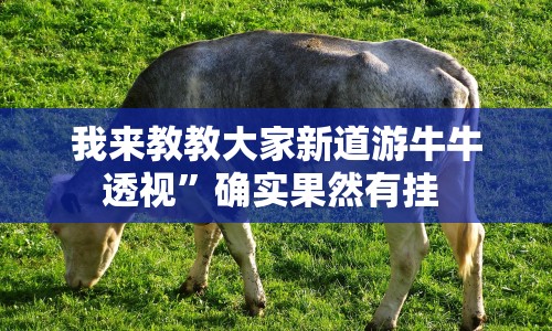 我来教教大家新道游牛牛透视”确实果然有挂 