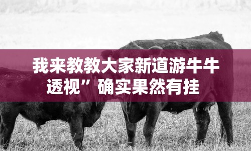 我来教教大家新道游牛牛透视”确实果然有挂 