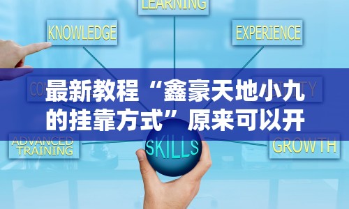 最新教程“鑫豪天地小九的挂靠方式”原来可以开挂