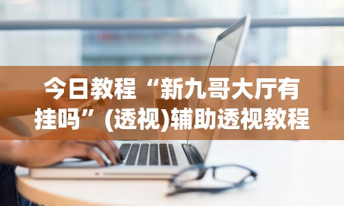 今日教程“新九哥大厅有挂吗”(透视)辅助透视教程