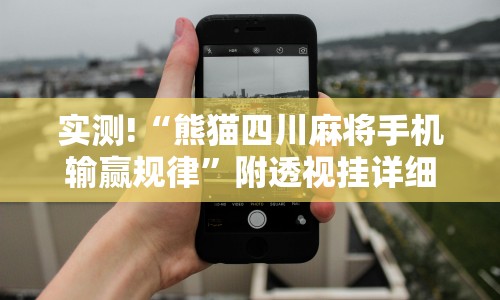 实测!“熊猫四川麻将手机输赢规律”附透视挂详细教程