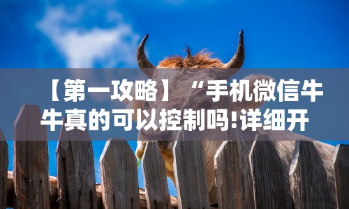 教程开挂辅助“闲游福建麻将可以开挂吗”(果然有透视挂)